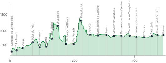 Grafica Camino de santiago bike bfree