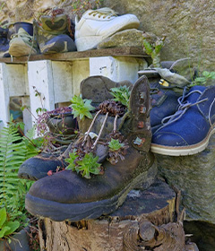 Itinerario camino santiago iti 2